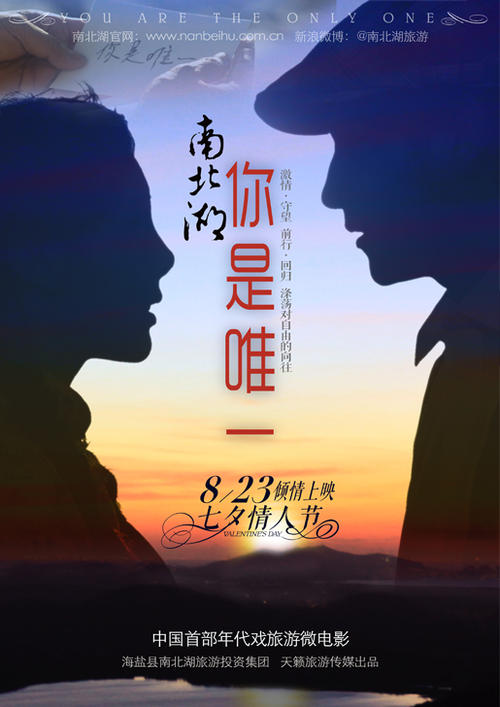 中国有没有国际驾照怎么申请